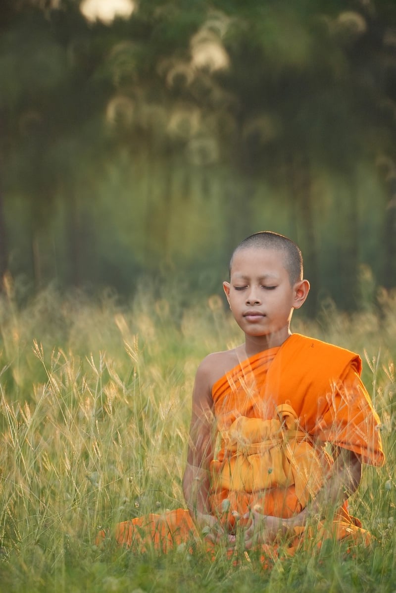 Tai Chi practice